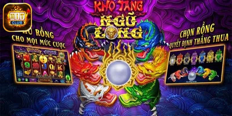 kho-tang-ngu-long-quan-trong